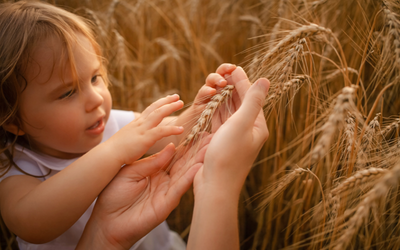 mulheres no agronegócio. menina no campo olhando safra de trigo