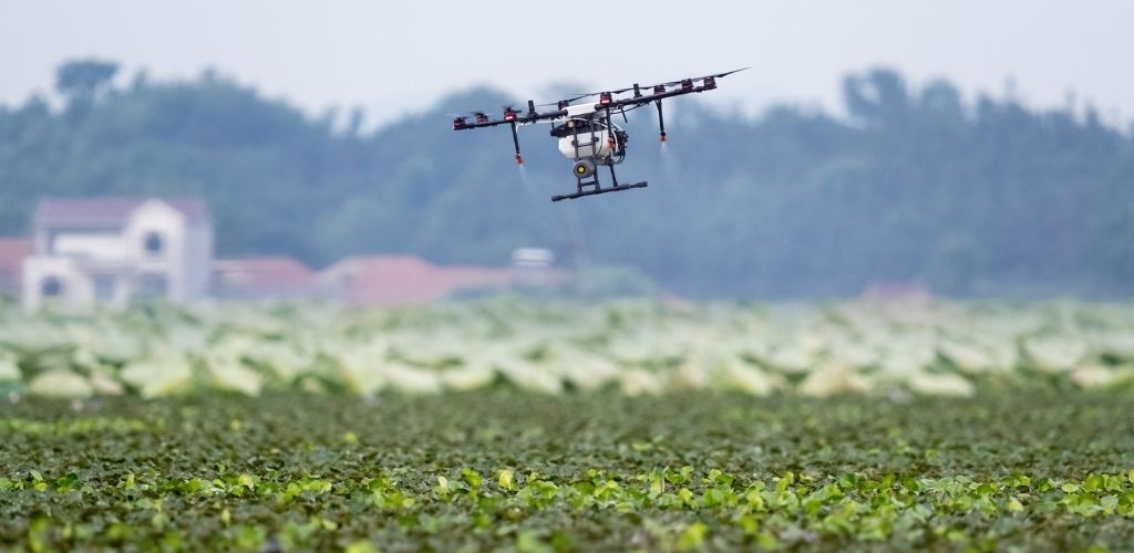 drone no campo, tecnologia no campo.
